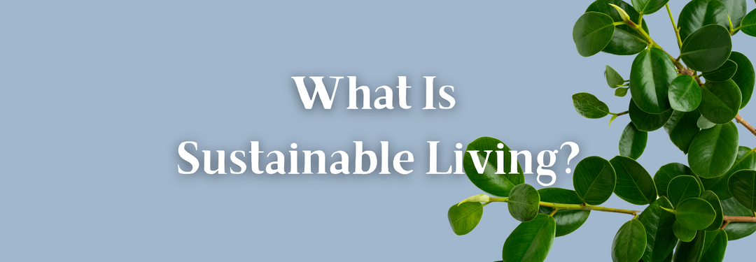 What Is Sustainable Living?