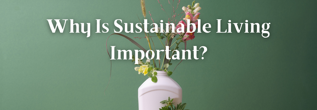 Why is Sustainable Living Important?